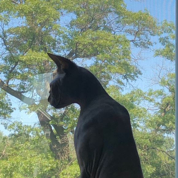 Meet your Posher, B - Picture 2 of 2